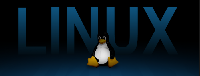 tech-beehive-introduction-of-linux-operating-system